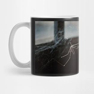 Spider Mug